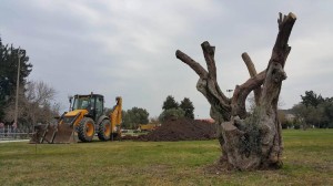 ZEYTİNLİ PARK’TAN YOL GEÇMEYECEK