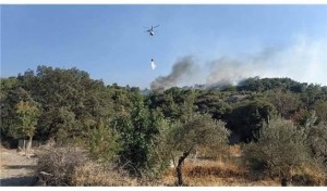 ÖRLEMİŞ’DE ORMAN YANGINI