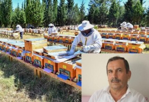 ALİAĞA’YA İKİ BAL ORMANI KURULACAK