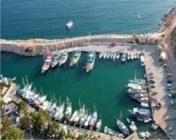 5 marinaya 17 firma talip