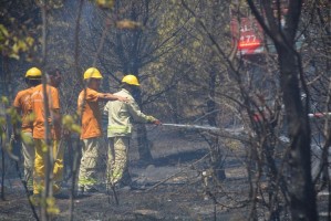 PINARCIK’TA ORMAN YANGINI