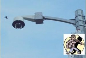 HIRSIZLAR 'MOBESE'SİZ YERLERİ ÇOK SEVİYOR!