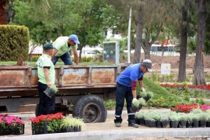 SAHİL BANDINA YAZLIK ÇİÇEK