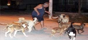 MEHMET ÖRS'ÜN CAN YOLDAŞLARI