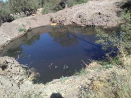 MUHTAR ŞAKİR EÇUN: “154 HANENİN PİSLİĞİ DEREYE AKIYOR!”