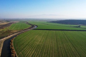 Çiftçinin yüzü son yağmurlarla güldü