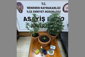 EVDE UYUŞTURUCU YETİŞTİREN KİŞİ GÖZALTINA ALINDI