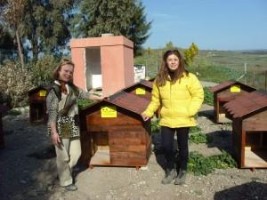 ASKOD'a İngiltere'den kulübe bağışı