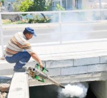 Sineksavarlar görev başında