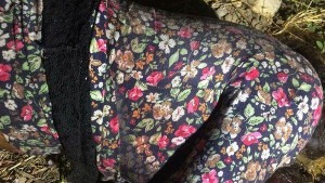 JANDARMA 1200 KADINI TAKİBE ALDI