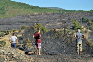 İZSİAD’DAN İZMİR’E FİDAN KAMPANYASI