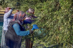 TÜRKİYE’NİN İLK TOPRAK VE TARIM ATLASI