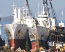 Hem Ekonomiye Hem Doğaya Katkı