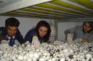 SEKTÖR BU ÖĞRENCİLERİ BEKLİYOR