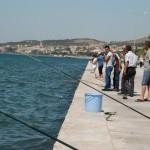 Sahil amatör balıkçıları ağırlıyor