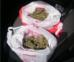 UYUŞTURUCUYA GEÇİT YOK