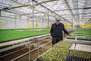 SOYER’DEN DİKİLİ, BERGAMA, KINIK PROGRAMI