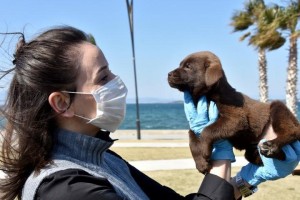 SAHİPLENİLMEYİ BEKLİYORLAR