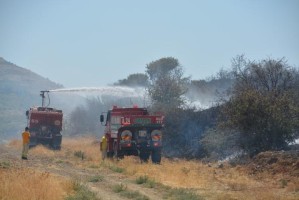 CİNDERESİ’NDE MAKİLİK VE OTLUK ALAN YANDI