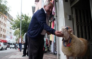 ALİAĞA BAYRAMA HAZIR