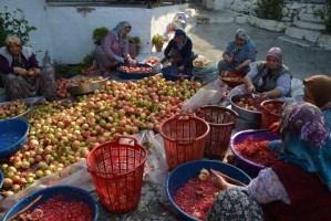 NAR EKŞİSİ ZAMANI