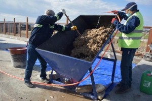 MANTAR ÜRETİMİ YENİDEN BAŞLAYACAK