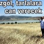 Bozgöl Göleti, tarlalara can verecek
