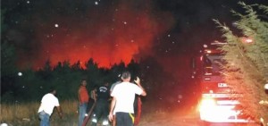 Aliağa'da Orman Yangını korkuttu