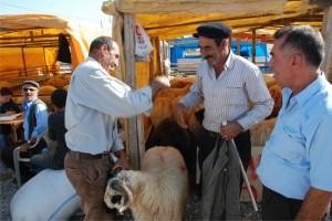 KURBAN BAYRAMINIZ KUTLU OLSUN