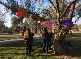 LİSELİLERDEN "HAYIR AĞACI"