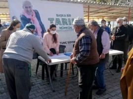 BÜYÜKŞEHİR’DEN ZEYTİN AĞAÇLARINA BORDO BULAMACI