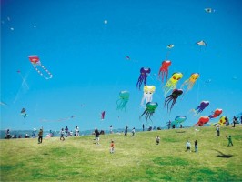 HAYDİ UÇURTMA  ŞENLİĞİNE!