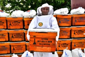 ARICILIK “BÜYÜKŞEHİR” DESTEĞİ İLE YAYGINLAŞIYOR