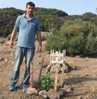 TAVŞAN ADASI’NI AĞAÇLANDIRIYORLAR