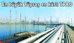 TÜRKİYE’NİN  EN BÜYÜK  ŞİRKETLERİ
