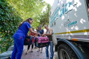 Kısırlaştırma çalışmaları hızlandırıldı