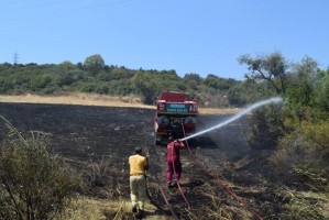 ZİRAİ VE OTLUK ALANDA YANGIN