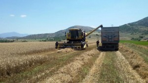 TARIMSAL DESTEK BÖLGELERİ BELLİ OLDU