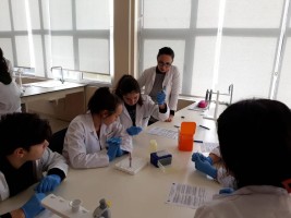 TED’de Biyoteknoloji Uygulamalarını  Deneyimleme Kursu