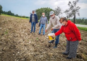 SUSAM ÇEŞİTLERİ TOPRAKLA BULUŞTU