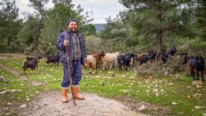 ÇOBAN HARİTASI ÇIKARILDI