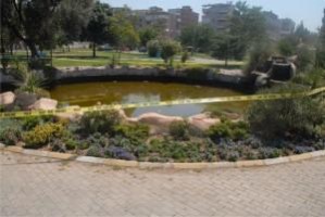 MİNİK EFE HAVUZDA BOĞULD