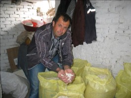 NOYANBEY FASULYE BEĞENİLDİ