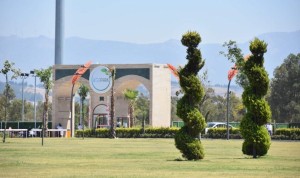 AĞAPARK’I MAVİBAHÇE Mİ İŞLETECEK?