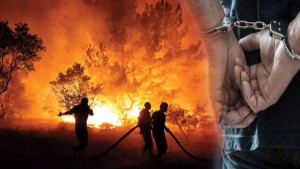 Yangına neden olan şüpheli tutuklandı