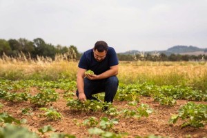 Kuraklıkla mücadele sürüyor