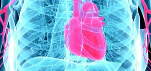 GENÇLER KALP KRİZİ RİSKİYLE YAŞIYOR