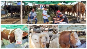 FİYATLAR DÜŞÜK AMA SATIŞ AZ