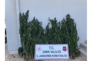 Uyuşturucu operasyonlarında 3 şüpheli tutuklandı