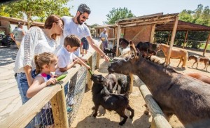 DOĞAL YAŞAM “BAYRAM” ETTİ